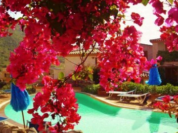 » Residences in Sardinia: Residence Bouganville/Le Vele in Budoni - Holidays Sardinia